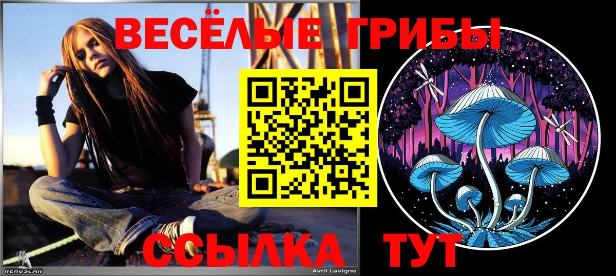 Бошки Шишки  Экстази  Меф МЯУ МЯУ   Вход с VPN  Cocaine  Alpha PVP СОЛЬ кристаллы  Вязьма  Гашиш  Меф 