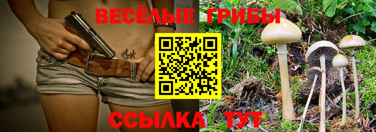 Галлюциногенные грибы мухоморы Вязьма