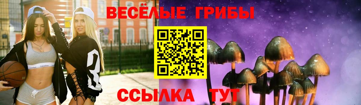Галлюциногенные грибы ЛСД  Вход с VPN  как найти   Вязьма 
