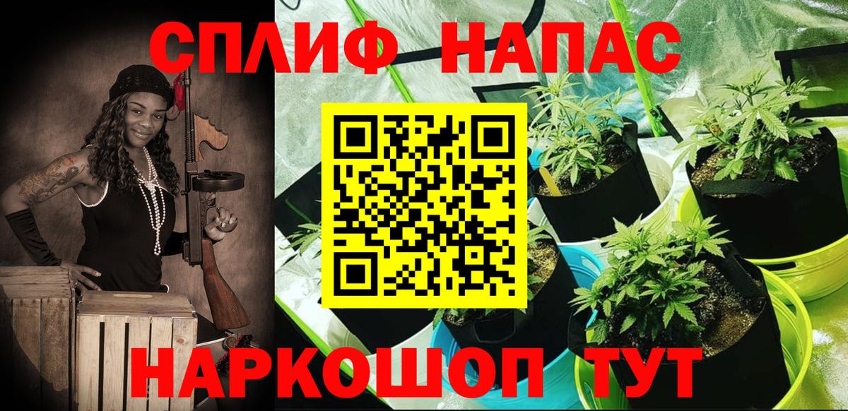 МАРИХУАНА марихуана Вязьма
